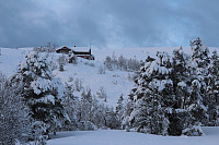 GeirI_20180204_5a77466436ea5.jpg