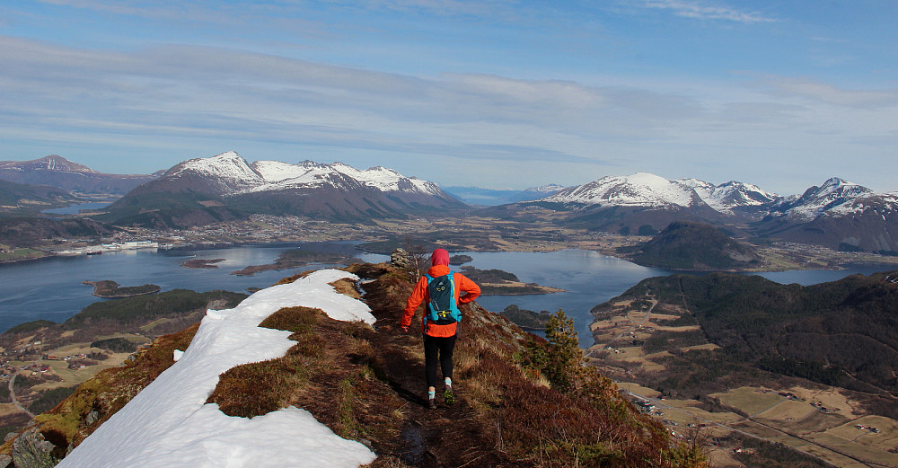 Utsikt nordover fra Jendemsfjellet.