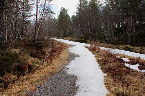 Skiføre fra bortpå lysløypa.