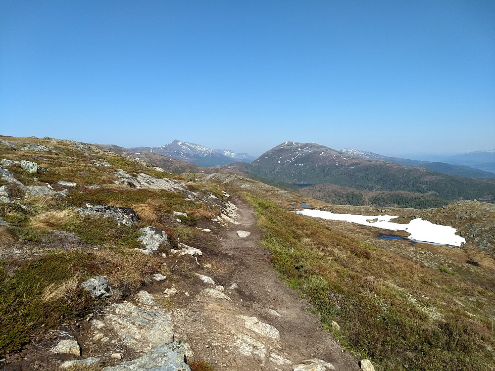 Tørre stier østover Moldeheia.