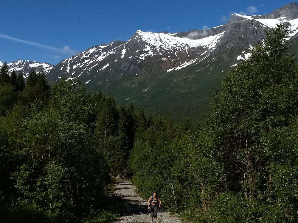 Grusvegen opp skogen langs Ljøsåa. Litlgladnebba i bakgrunnen.