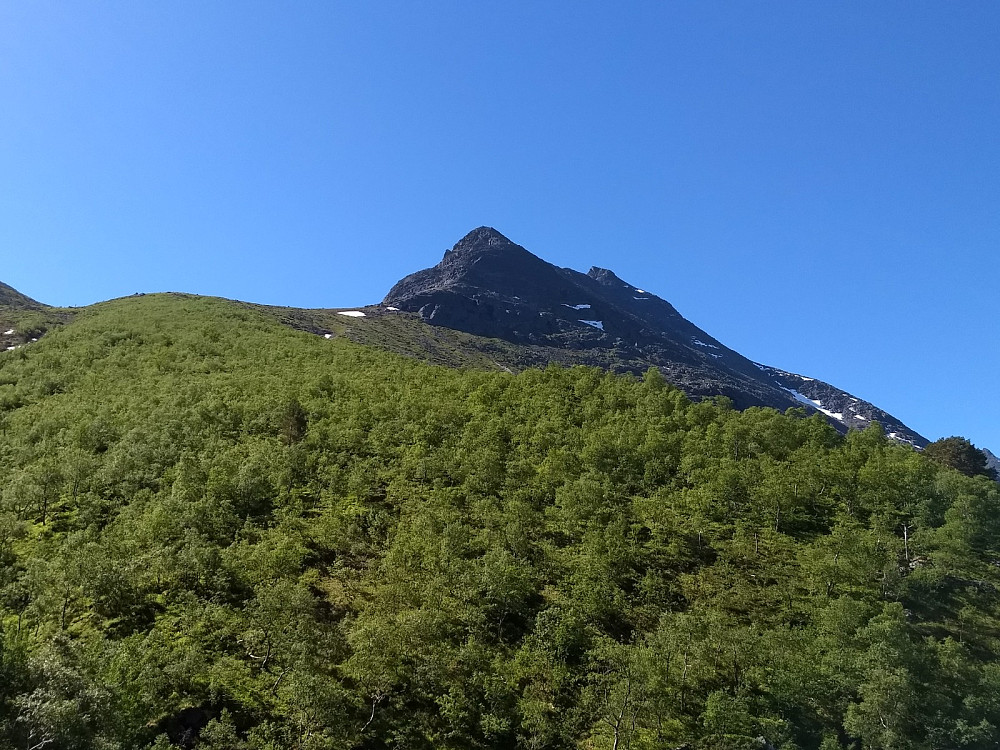 Mot Hjellbønebba.