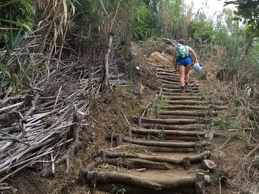 Bratte trapper opp på vestenden av Monte da Guia.