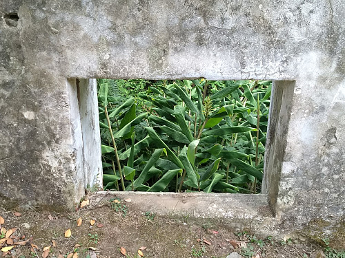Sanguinho