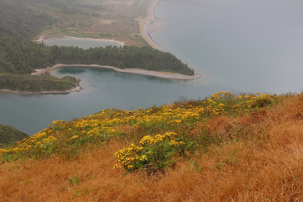 Blomsterprakt i Barrosa østflanke mot Lagoa do Fogo.