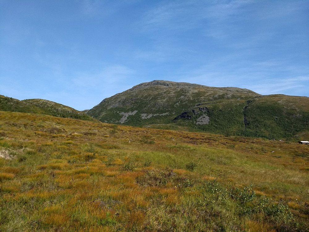Fra Fjordruta mot Hjelmkona.