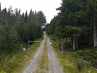 Vegbom, bare å ta beina fatt.