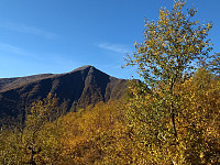 GeirI_20190925_5d8bcdabf0ac1.jpg