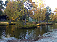 GeirI_20191006_5d99d09a89be5.jpg