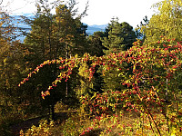 GeirI_20191006_5d99d09b4720a.jpg