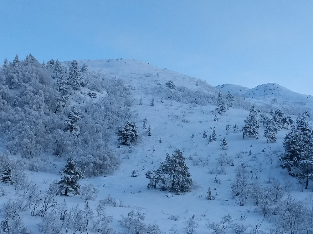 Fra Skihytta mot Moldeheia.
