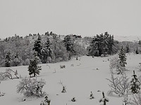GeirI_20200202_5e3690ea2832f.jpg