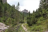 GeirI_20200329_5e80cbf6212ef.jpg