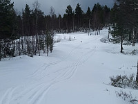 GeirI_20200413_5e944506a4887.jpg