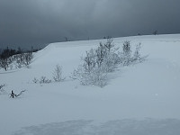 GeirI_20200413_5e944507c883b.jpg