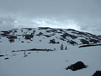Tågheia fra nord.