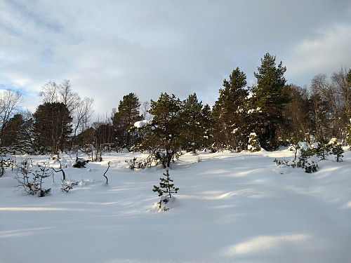 ..og på toppen av Hindalen.