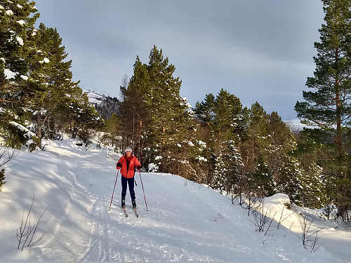 Sola stakk til og med fram.