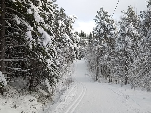 Flotte forhold kun få meter fra døra