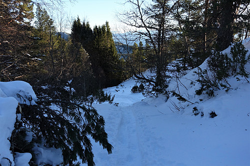 Fint skiterreng i Seterdalen.