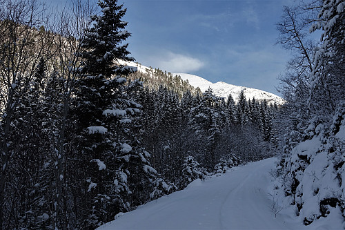 Omlag 15 centimeter nysnø på vegen nedafra.