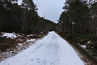 Fortsatt såle i lysløypa.