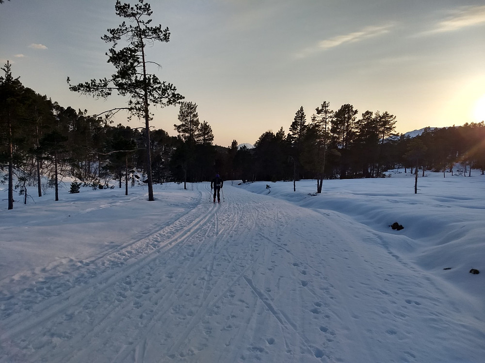 Øverst i Hindalen.