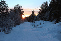 geiri_blåtime-1.jpg