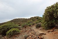 geiri_cueva_del_canario_1.jpg