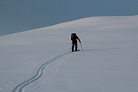 geiri_skarven2015-2.jpg