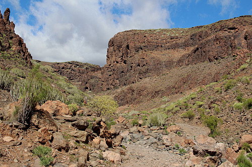 Barranco El Berriel. Via ferratene går på den bratte klippen midt i bildet. Returruta som vi fulgte går mot høyre under veggen, og tar opp renna midt på fjellryggen.