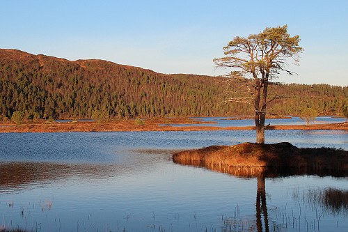 Ved Fjellsetervatnet.
