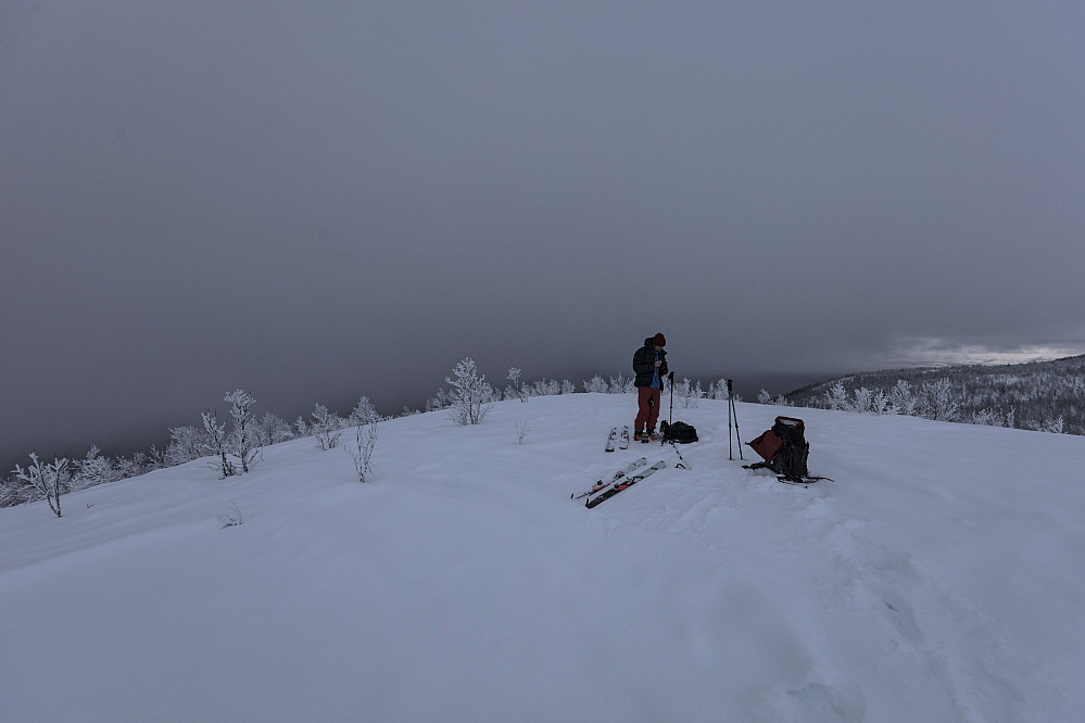Klar for runde 2 ned skogen