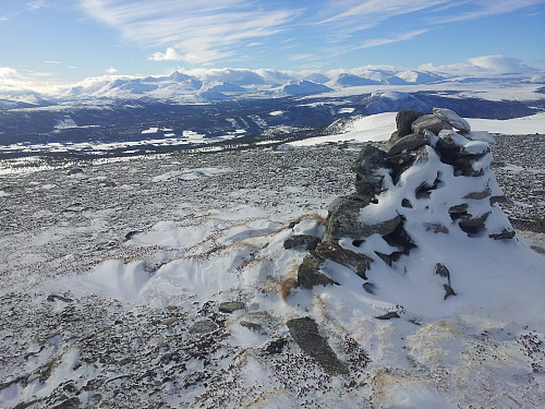 Grønhøe; mot Rondane