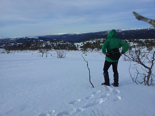På Pikhaugen