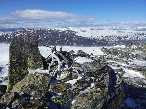 Ingulssjøhøe