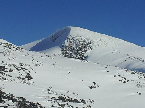 Grøntjønnhøi