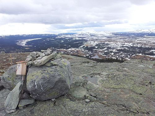 Ormtjernkampen