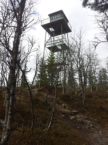 Tårnet fra 1960