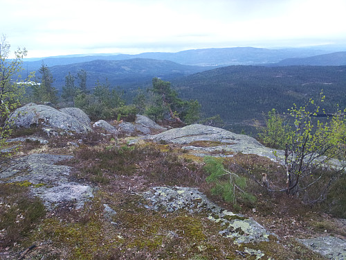 Tjuvenborg. Mot Sokna