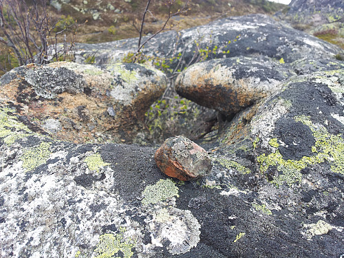 Rar stein
