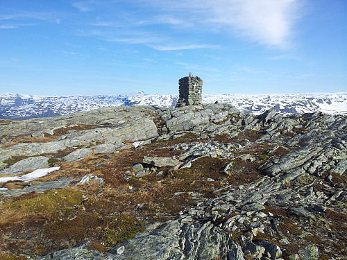 Vinjanuten