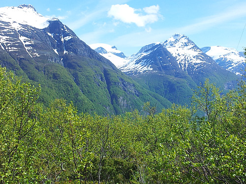 Fra Gjersvollhaugen