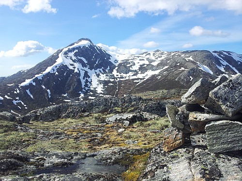 Flånebba