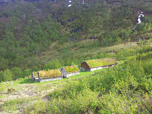 Røsetsetra