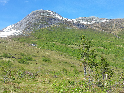 Jamtetind