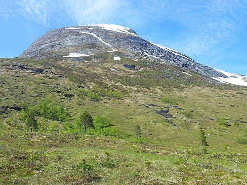 Breidfjellet