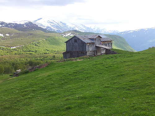 Sommerstemning ved Sørhovde