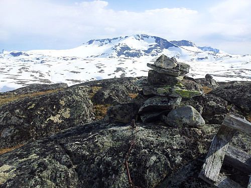 Dyrhaugen Vest. Steindalsnosi og Fanaråken kom veldig nær..