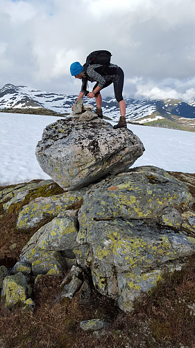 Vestlandets fjelldronning :)